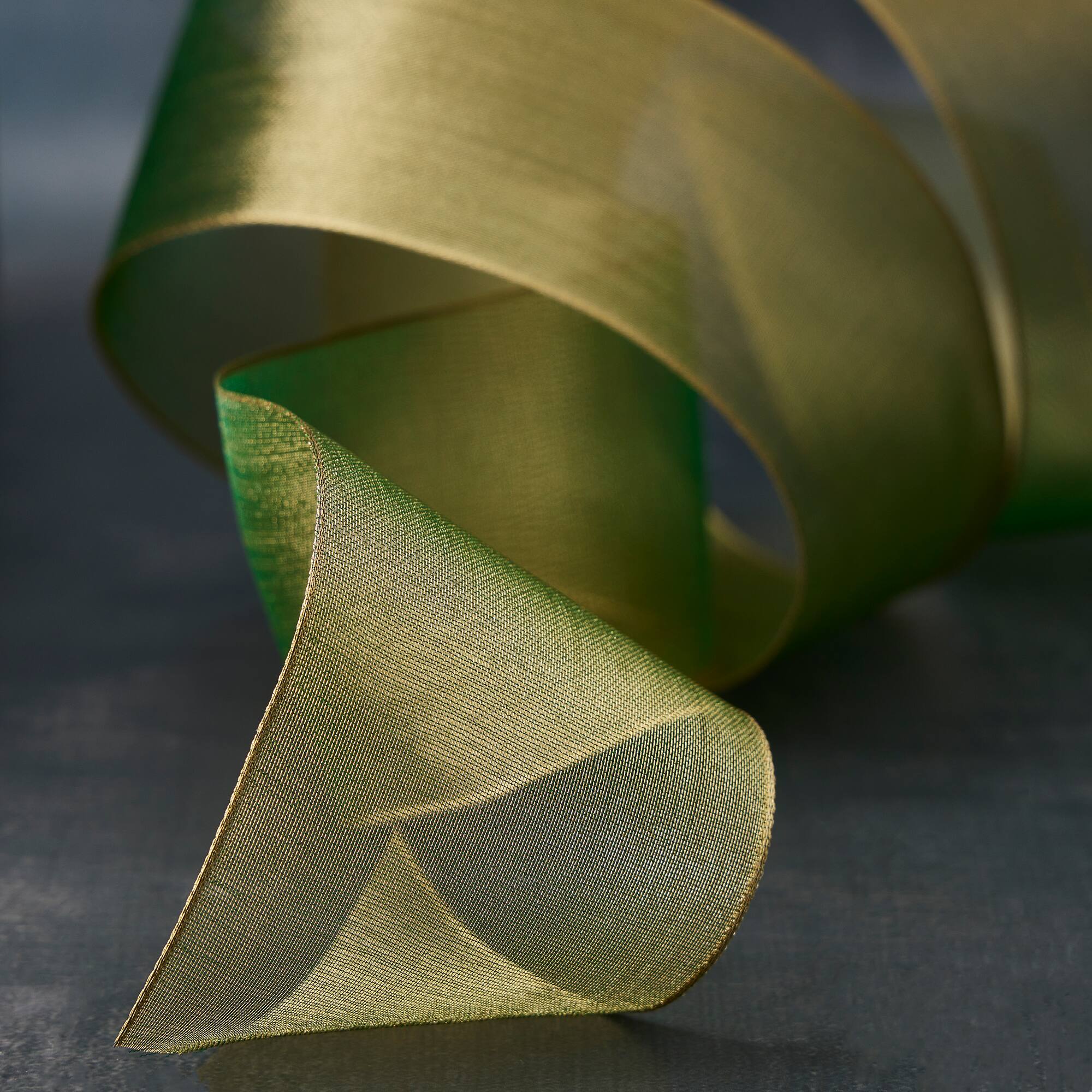 2.5" x 10yd. Sheer Metallic Wired Ribbon by Celebrate It® Specialty